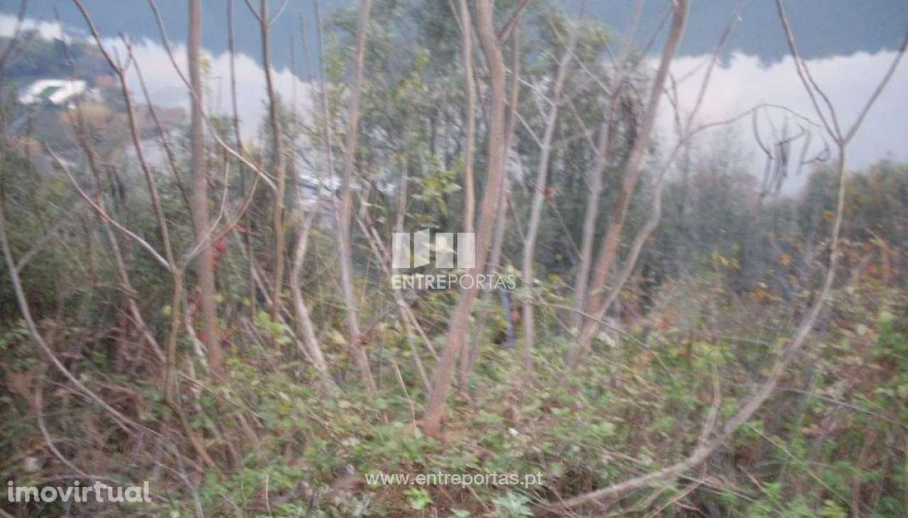 Venda Terreno próximo ao Rio Douro, Santa Marinha do Zêzere, Baião - Grande imagem: 3/10