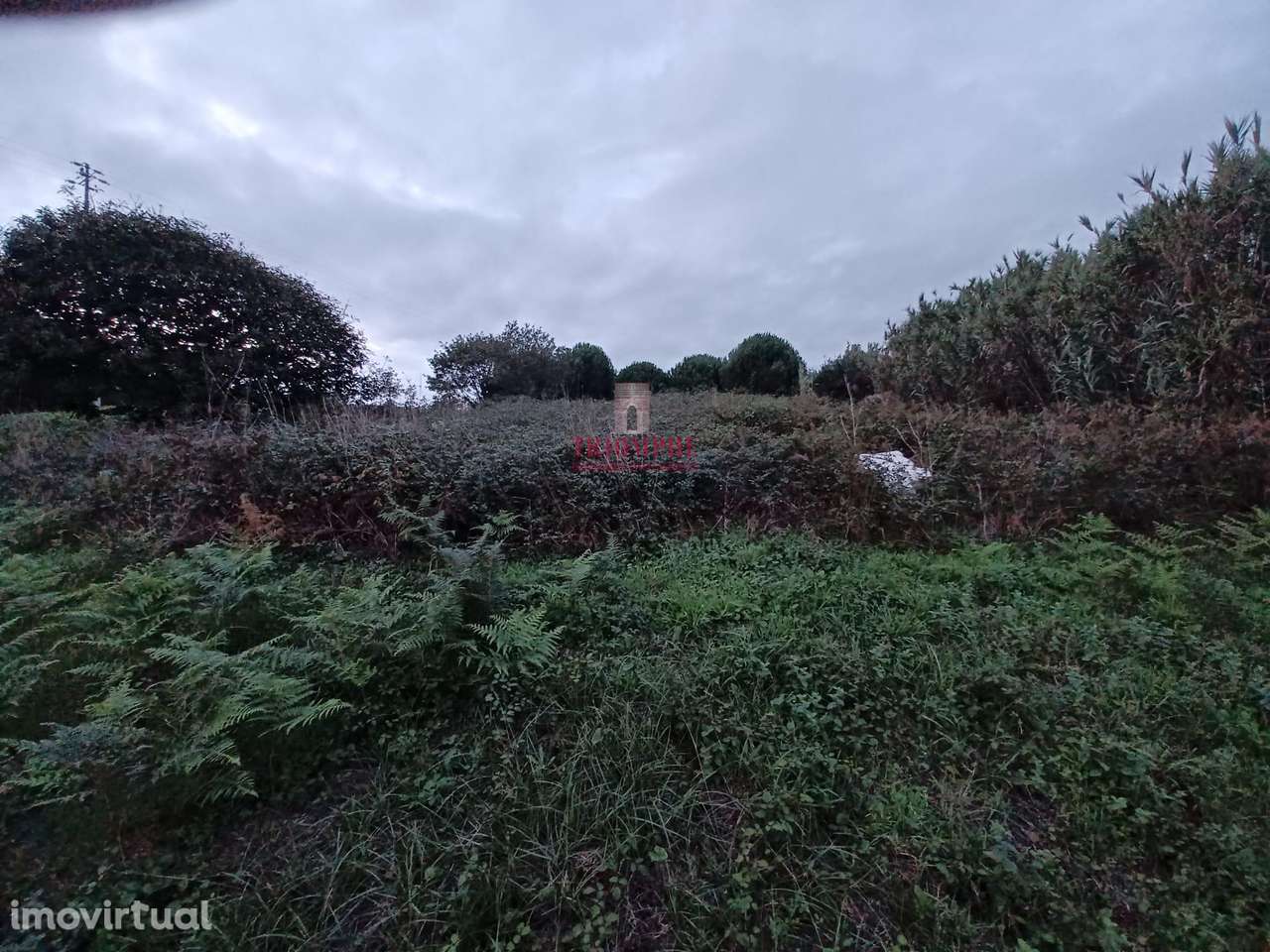 Terreno Rústico 11.500m2, Batalha - Grande imagem: 4/9