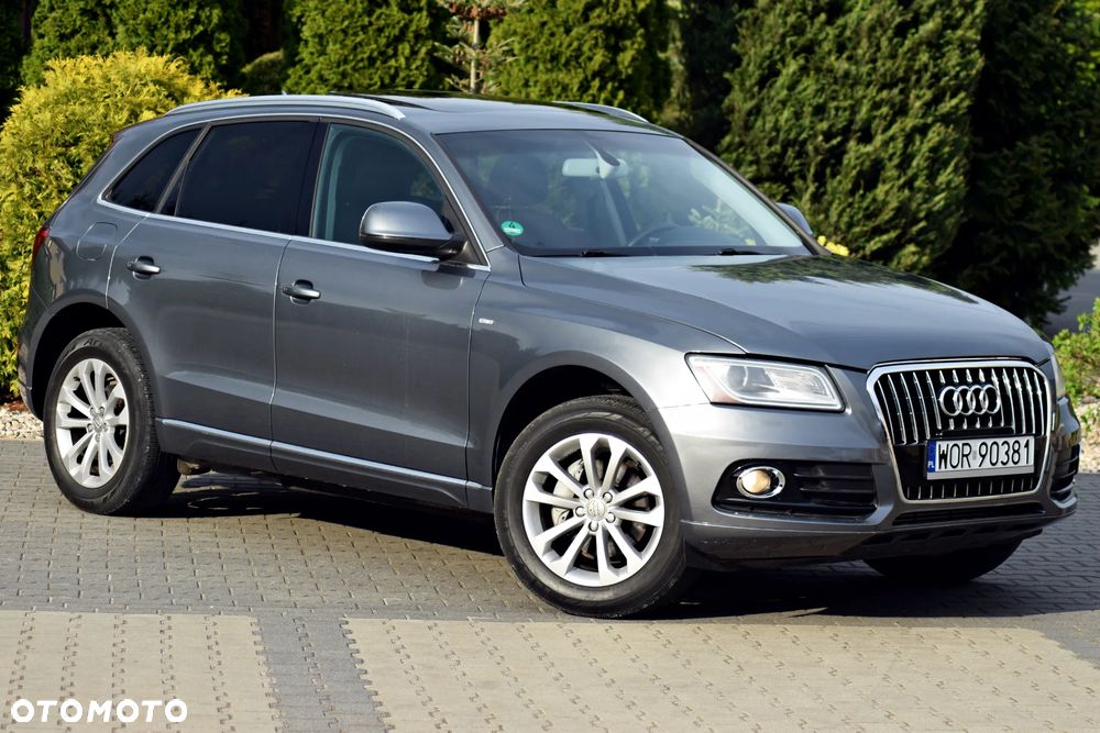 Audi Q5 - 22