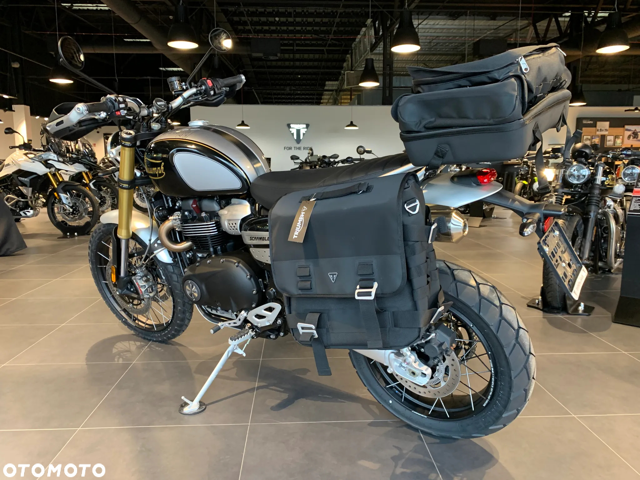 Triumph Scrambler - 5