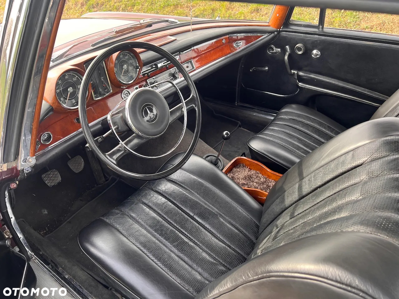 Mercedes-Benz Inny - 6