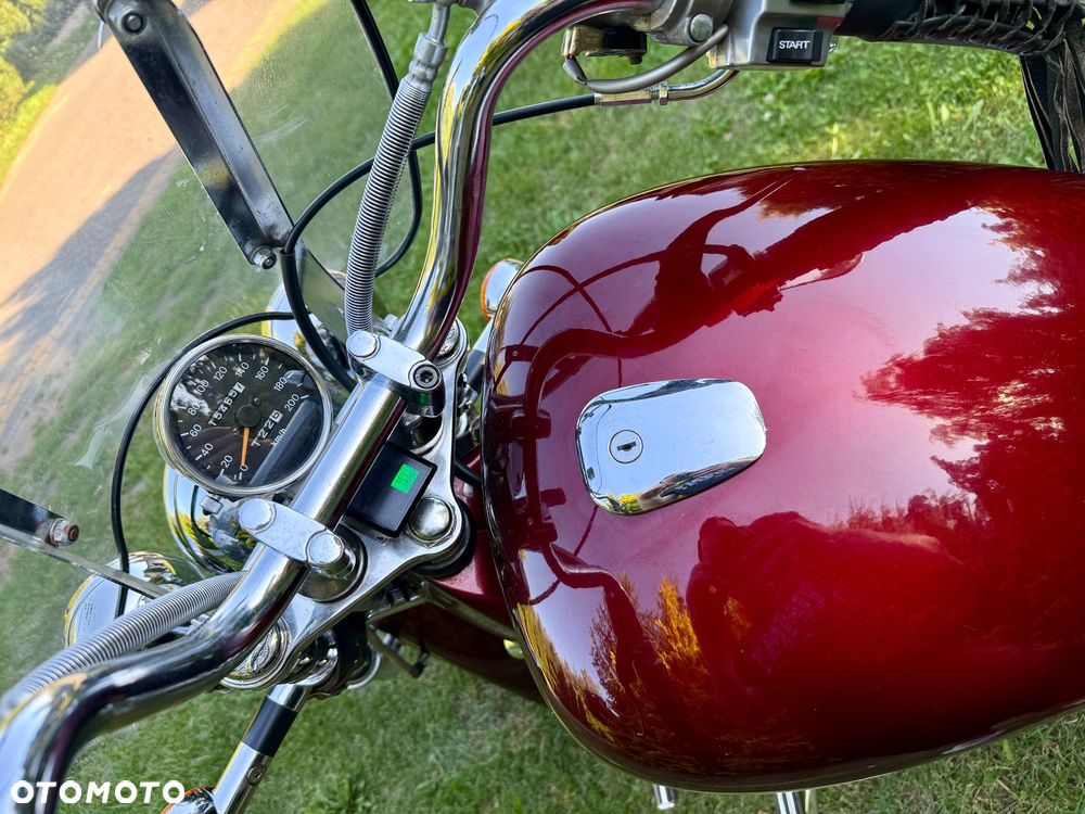 Suzuki Intruder - 9