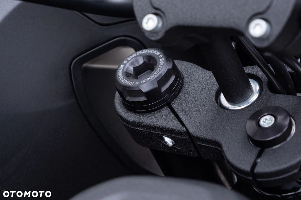 Harley-Davidson Softail Low Rider - 21