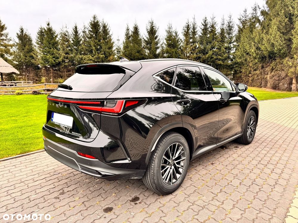 Lexus NX 350h Prestige 2WD - 7