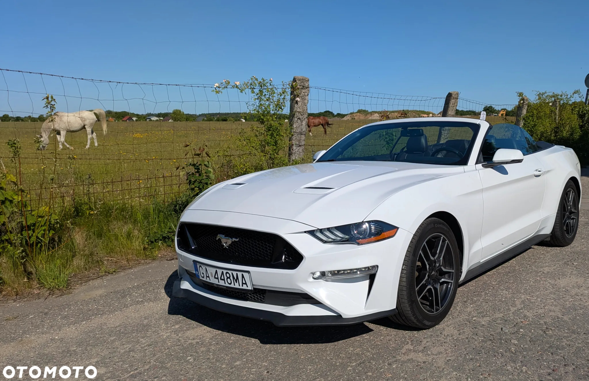 Ford Mustang 2.3 EcoBoost - 2