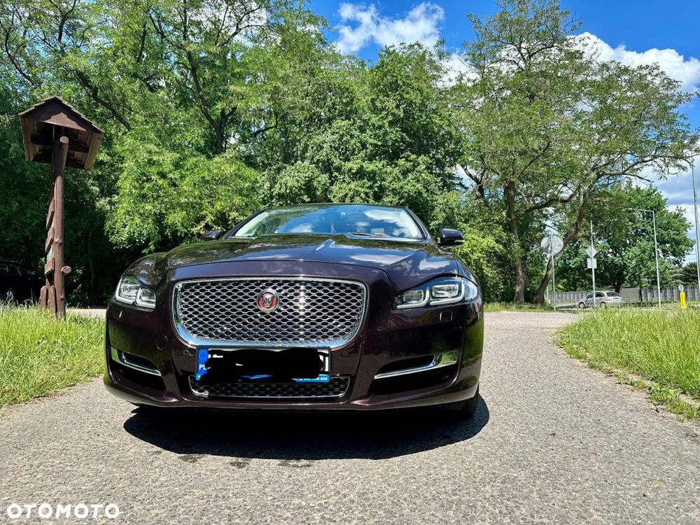 Jaguar XJ 3.0 V6 Kompressor AWD Portfolio - 15