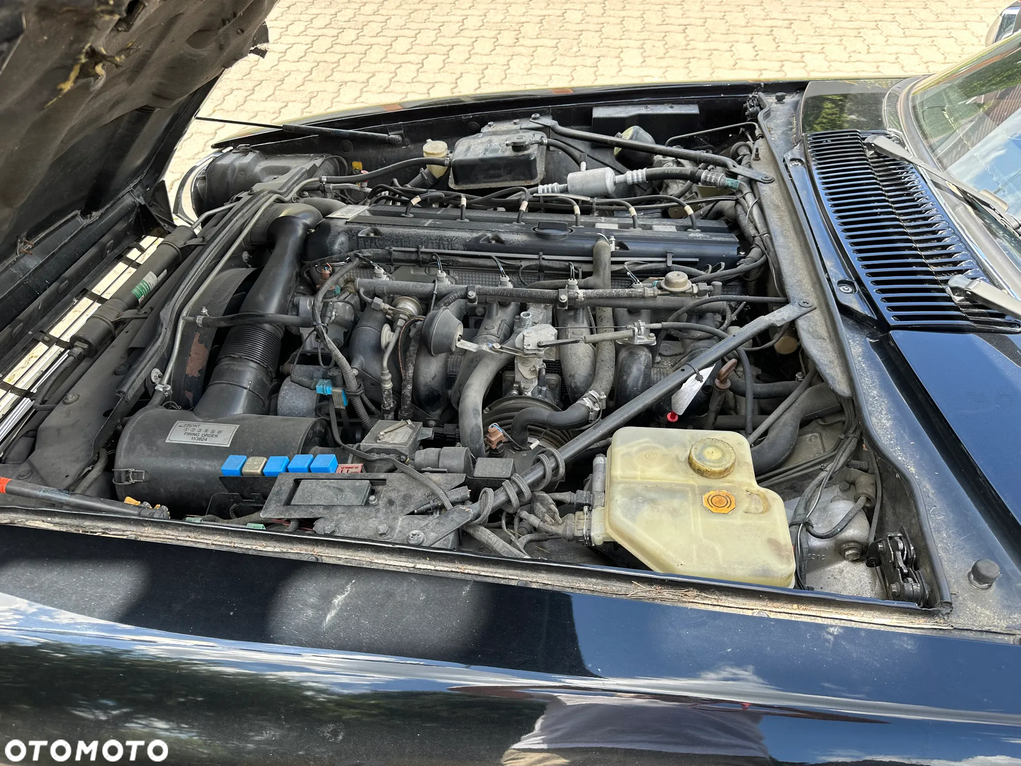 Jaguar XJS - 12