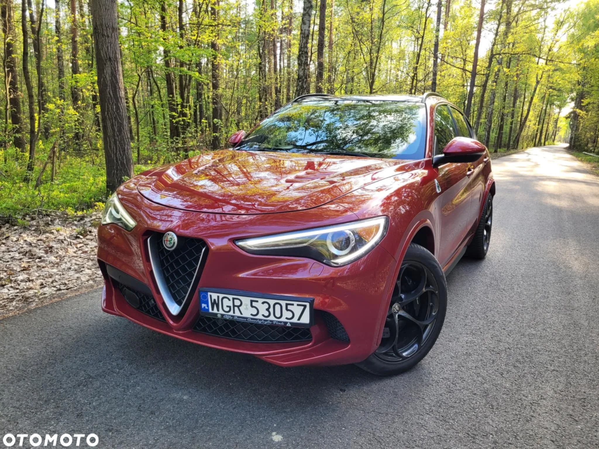 Alfa Romeo Stelvio V6 2.9 Bi-Turbo AT8-Q4 Quadrifoglio