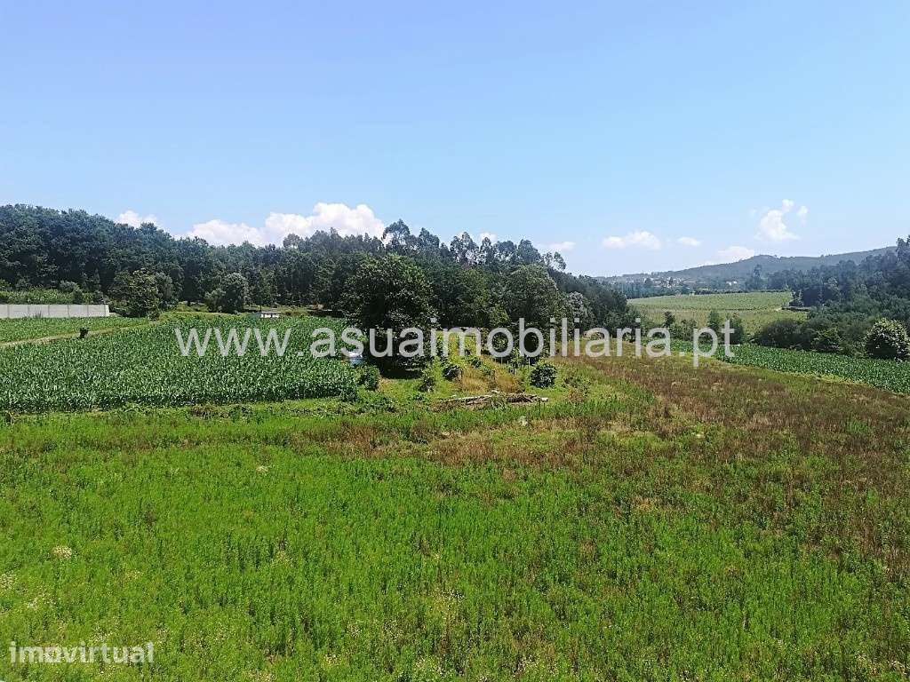 Terreno Agrícola - Prozelo - Grande imagem: 3/4
