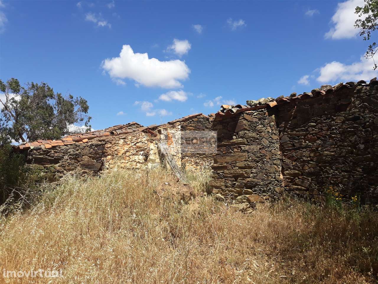 Quintinha T1 Venda em Ourique,Ourique - Grande imagem: 4/12