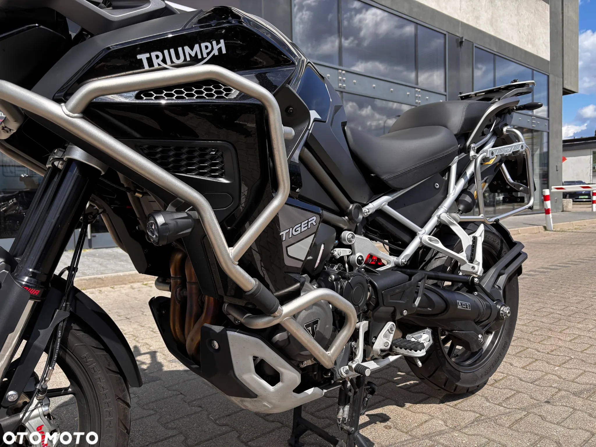 Triumph Tiger - 13