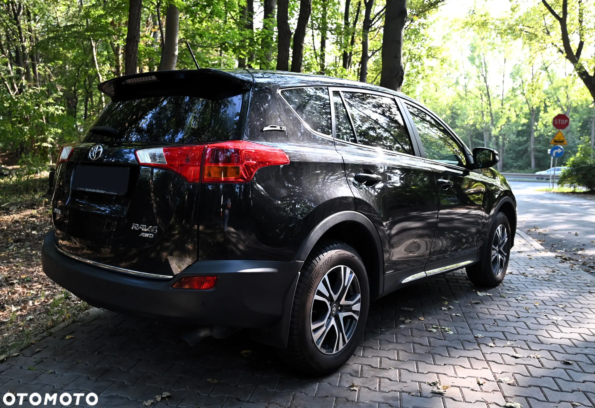 Toyota RAV4 - 19
