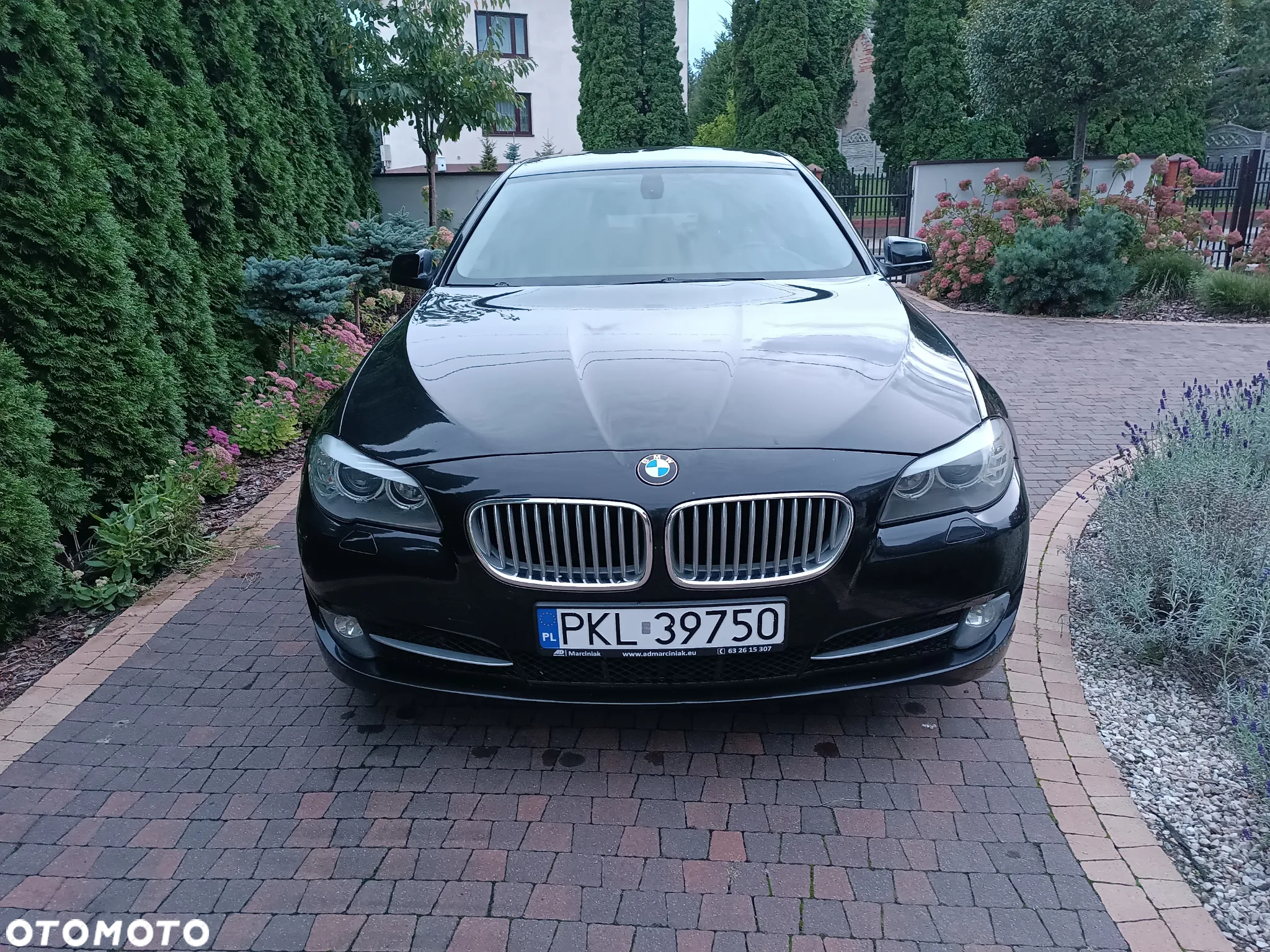BMW Seria 5 520d - 22