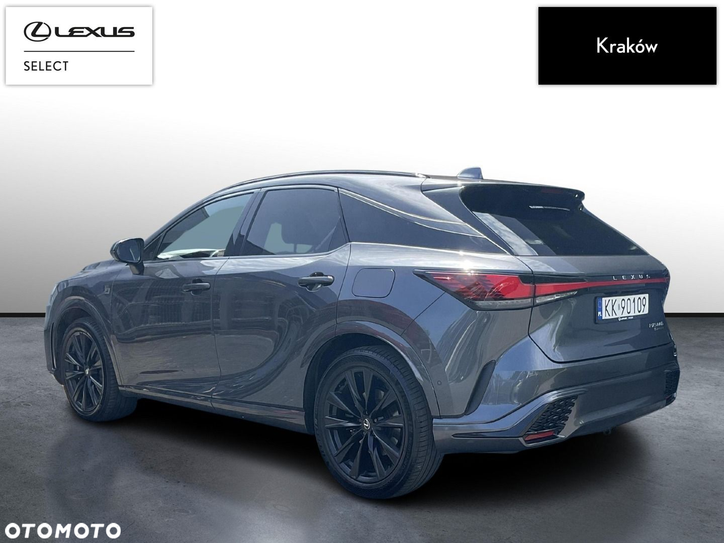Lexus RX - 3