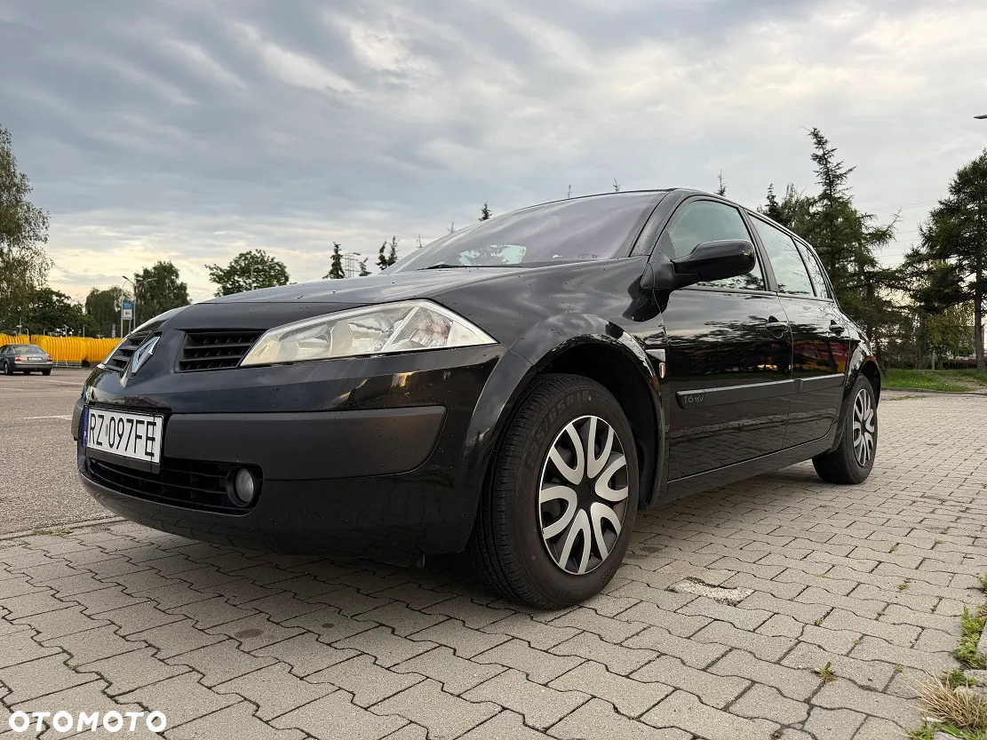 Renault Megane 1.6 Authentique - 29