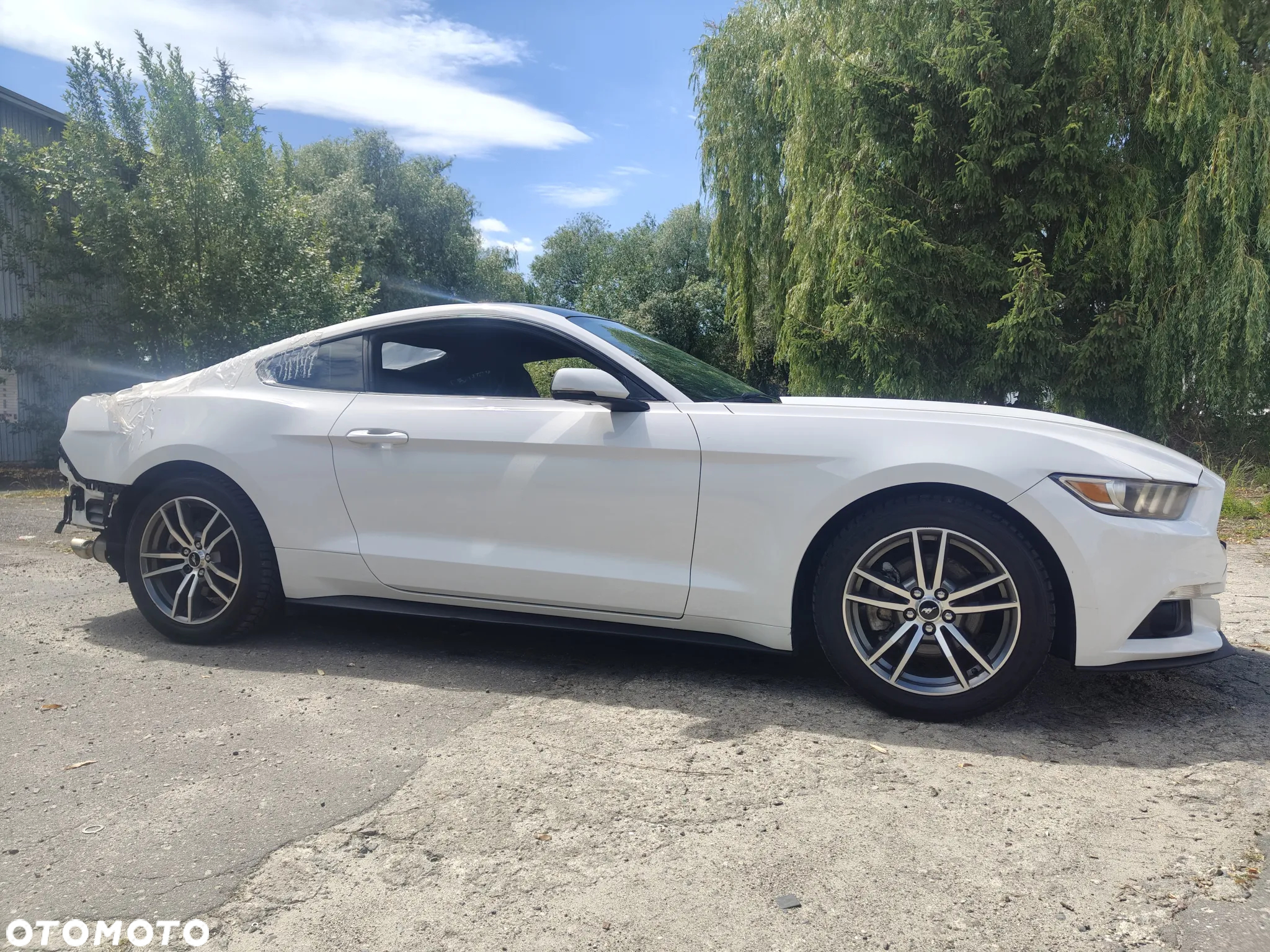 Ford Mustang 2.3 Eco Boost - 9