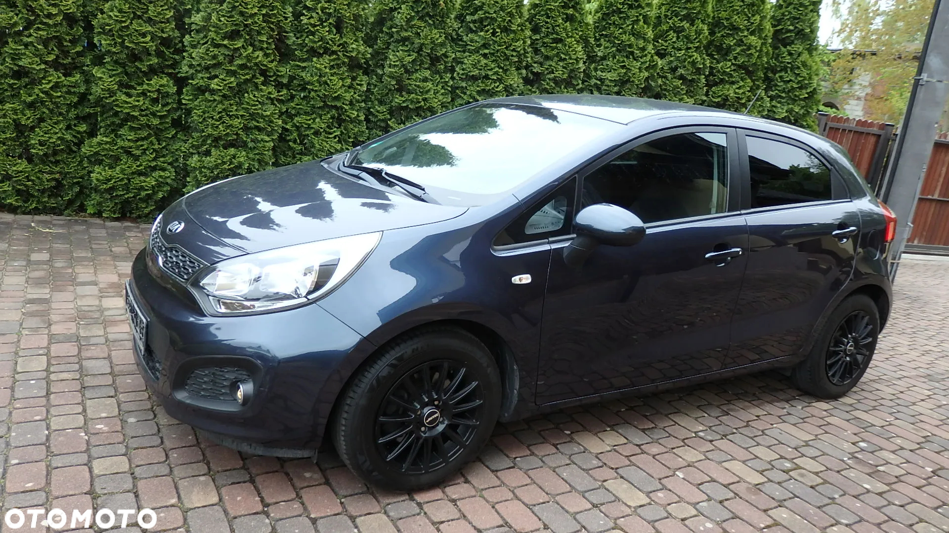 Kia Rio - 22