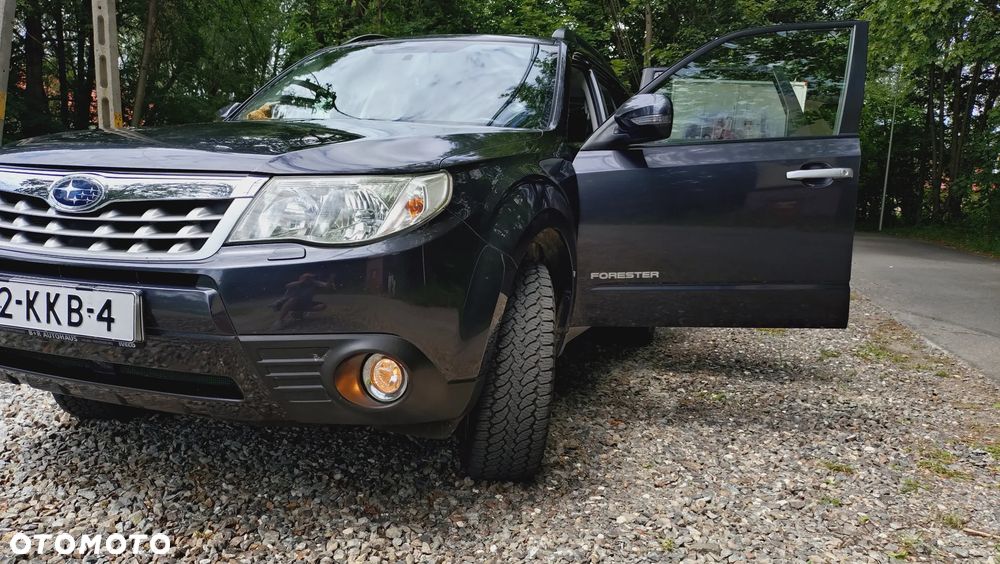 Subaru Forester 2.0X Automatik Exclusive - 20