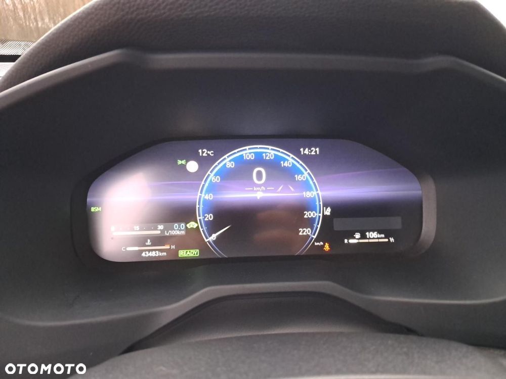 Toyota RAV4 2.5 Hybrid Executive 4x2 - 6