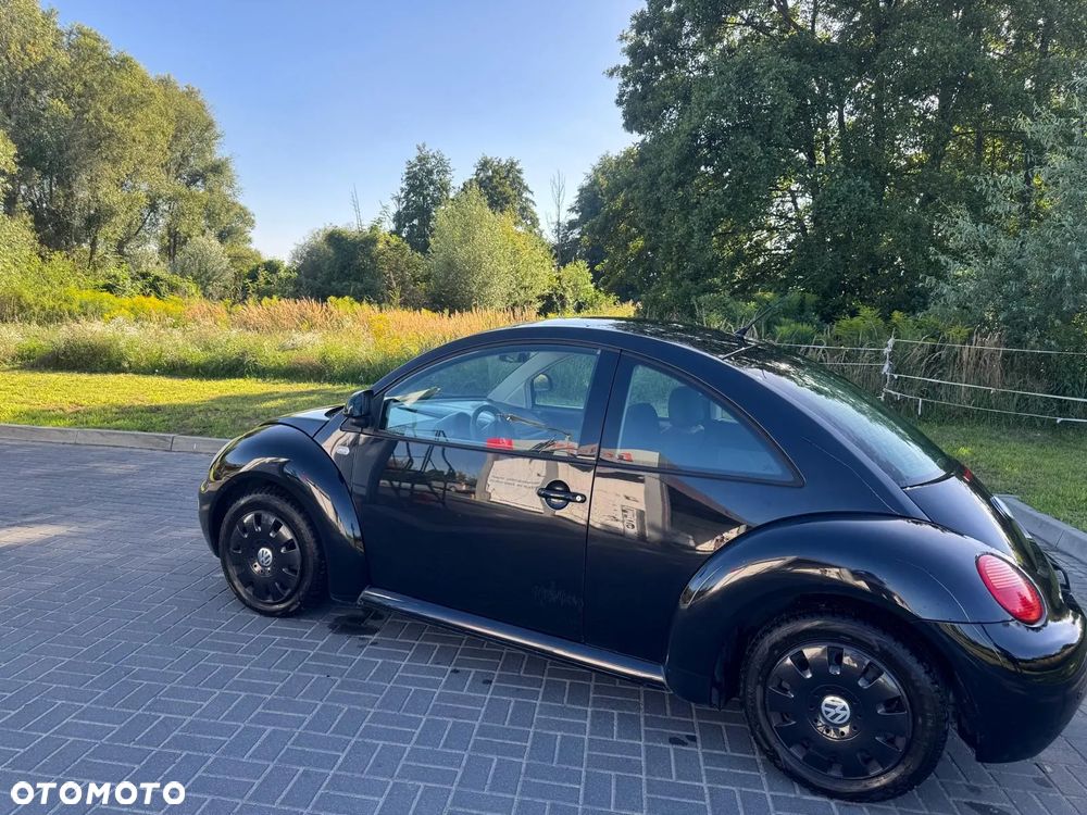 Volkswagen Beetle - 7