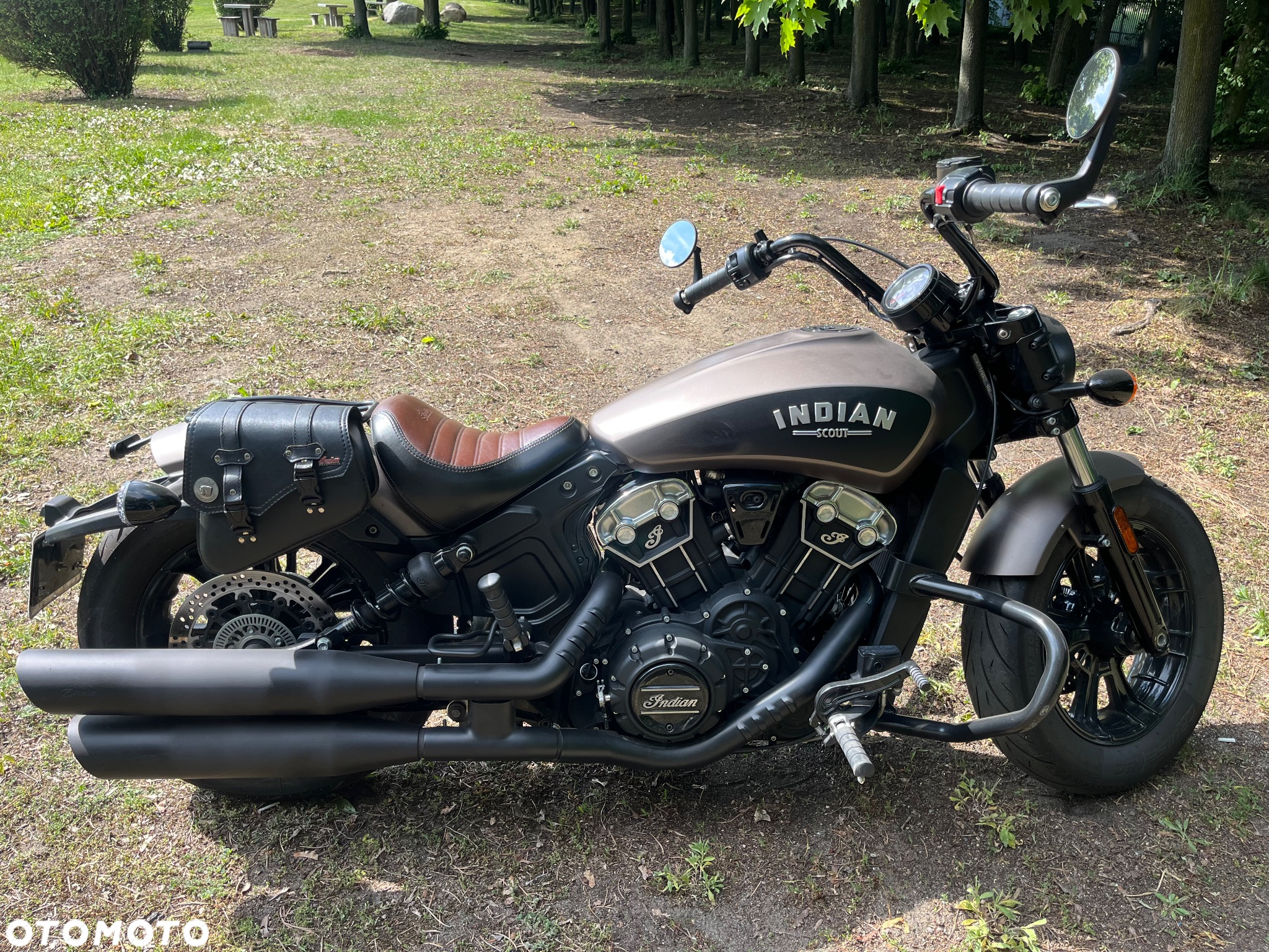Indian Scout - 6