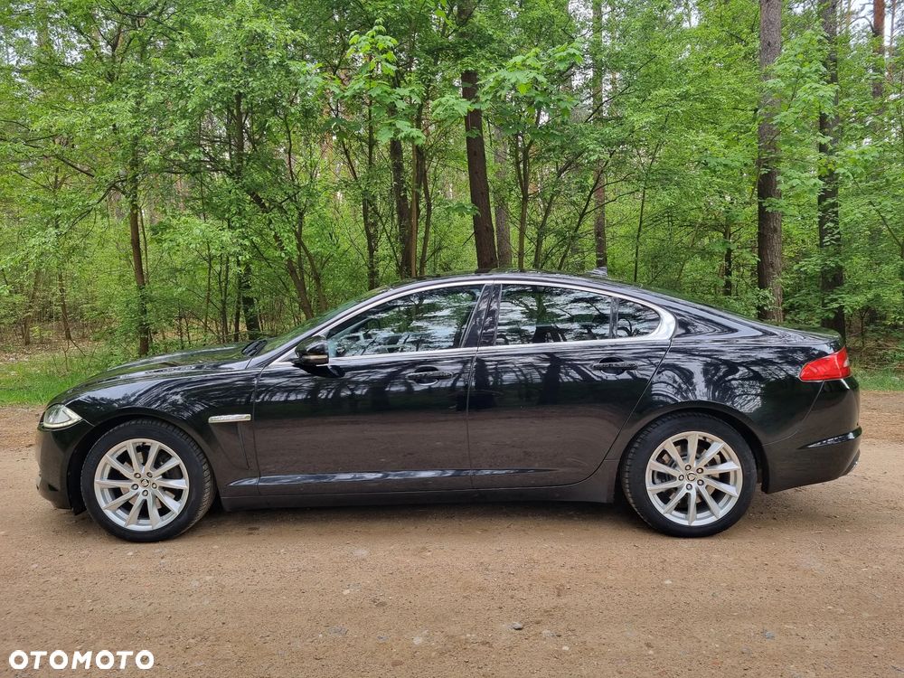 Jaguar XF 3.0 V6 D Premium Luxury - 8
