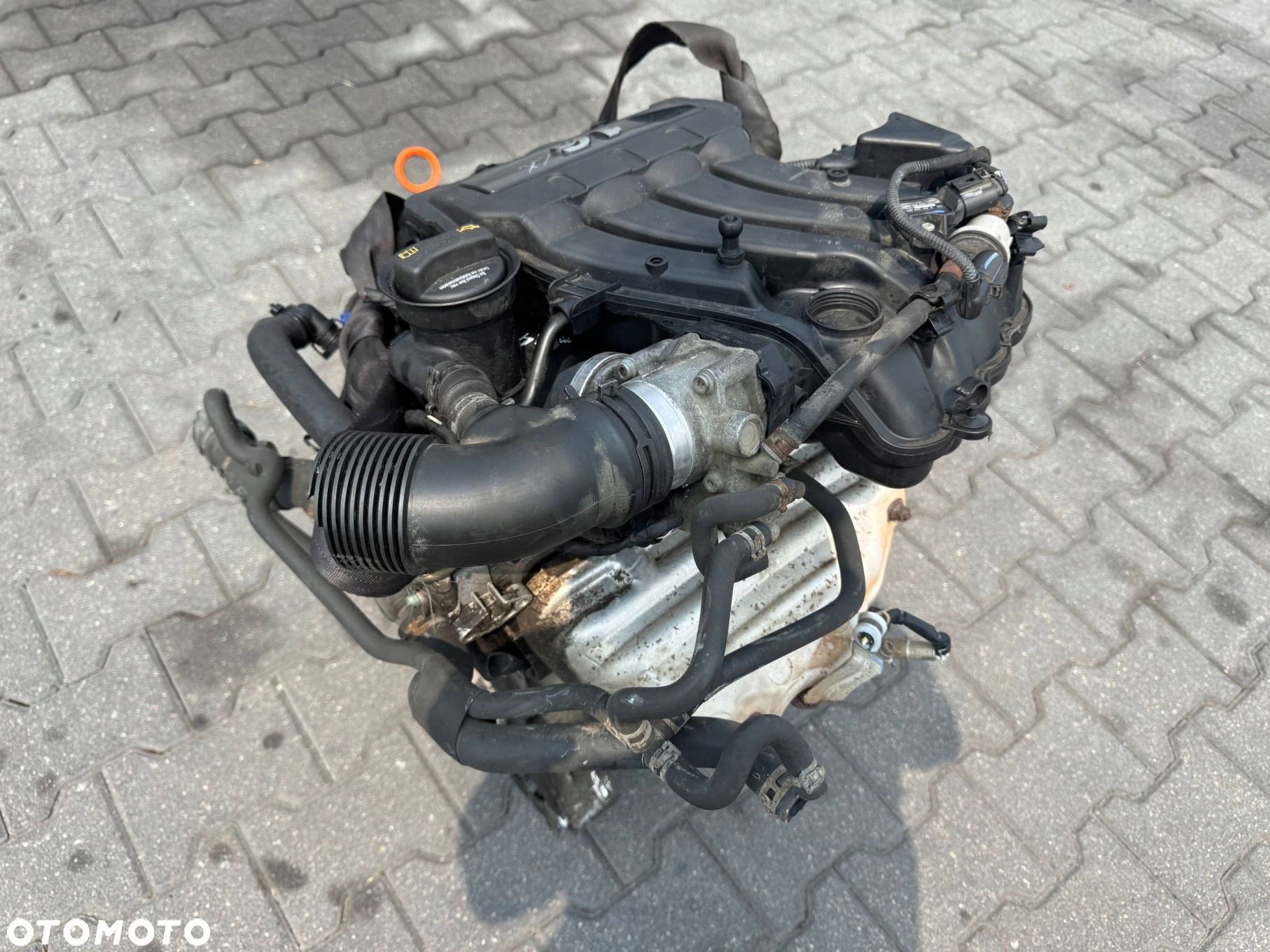 SILNIK 1.6 8V BSE VW GOLF V 2008 - 4