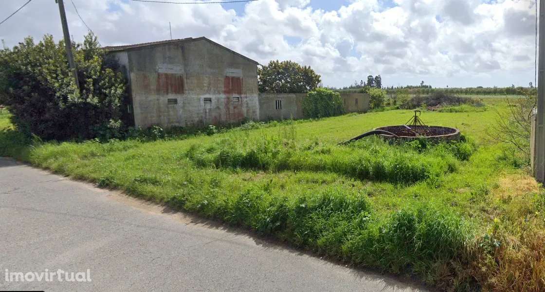 Terreno Rústico em Vagos, Aveiro - Oportunidade Única! - Grande imagem: 3/9
