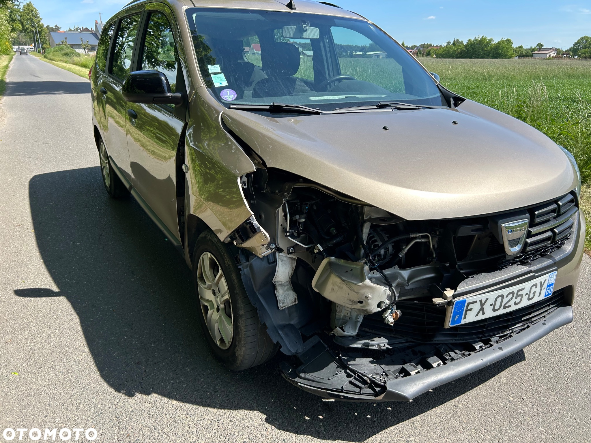 Dacia Lodgy - 28