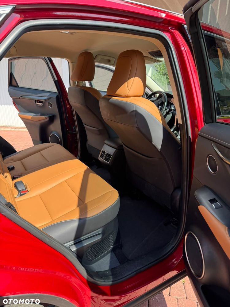 Lexus NX 300 AWD - 4