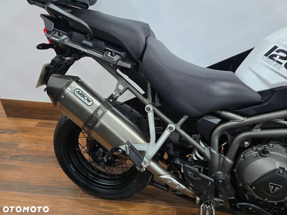 Triumph Tiger - 23