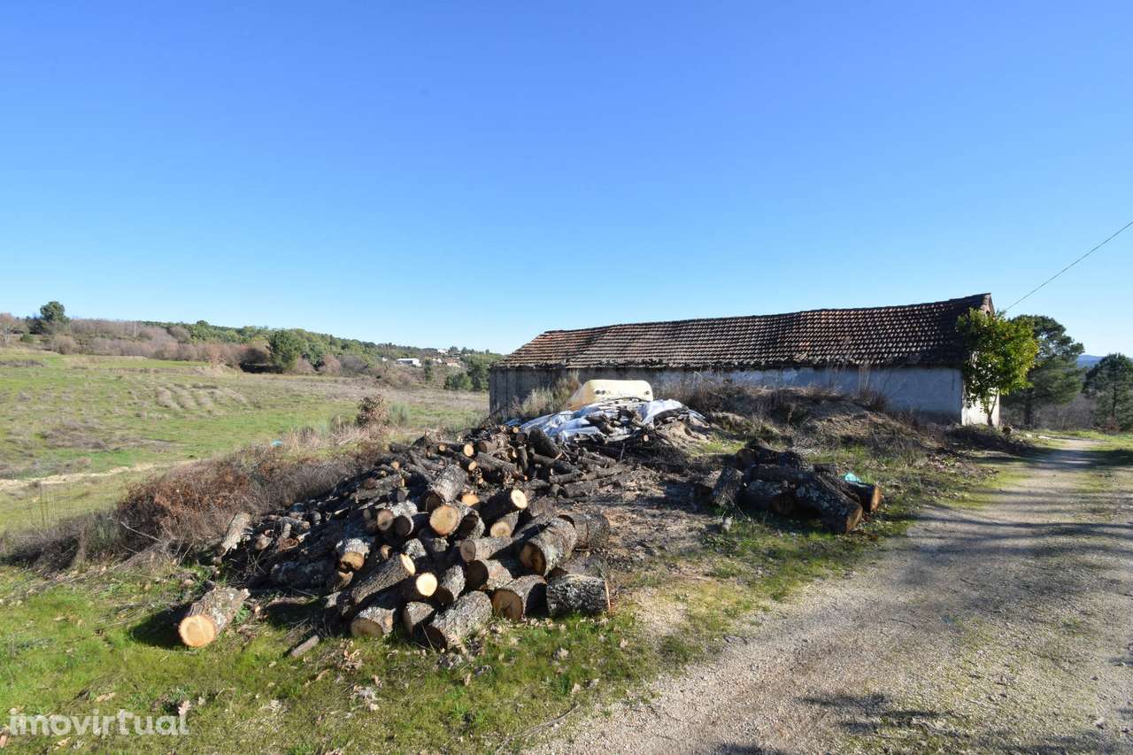 Quinta - Zona do Terlamonte - Vista p/ Serra da Estrela - Grande imagem: 4/24