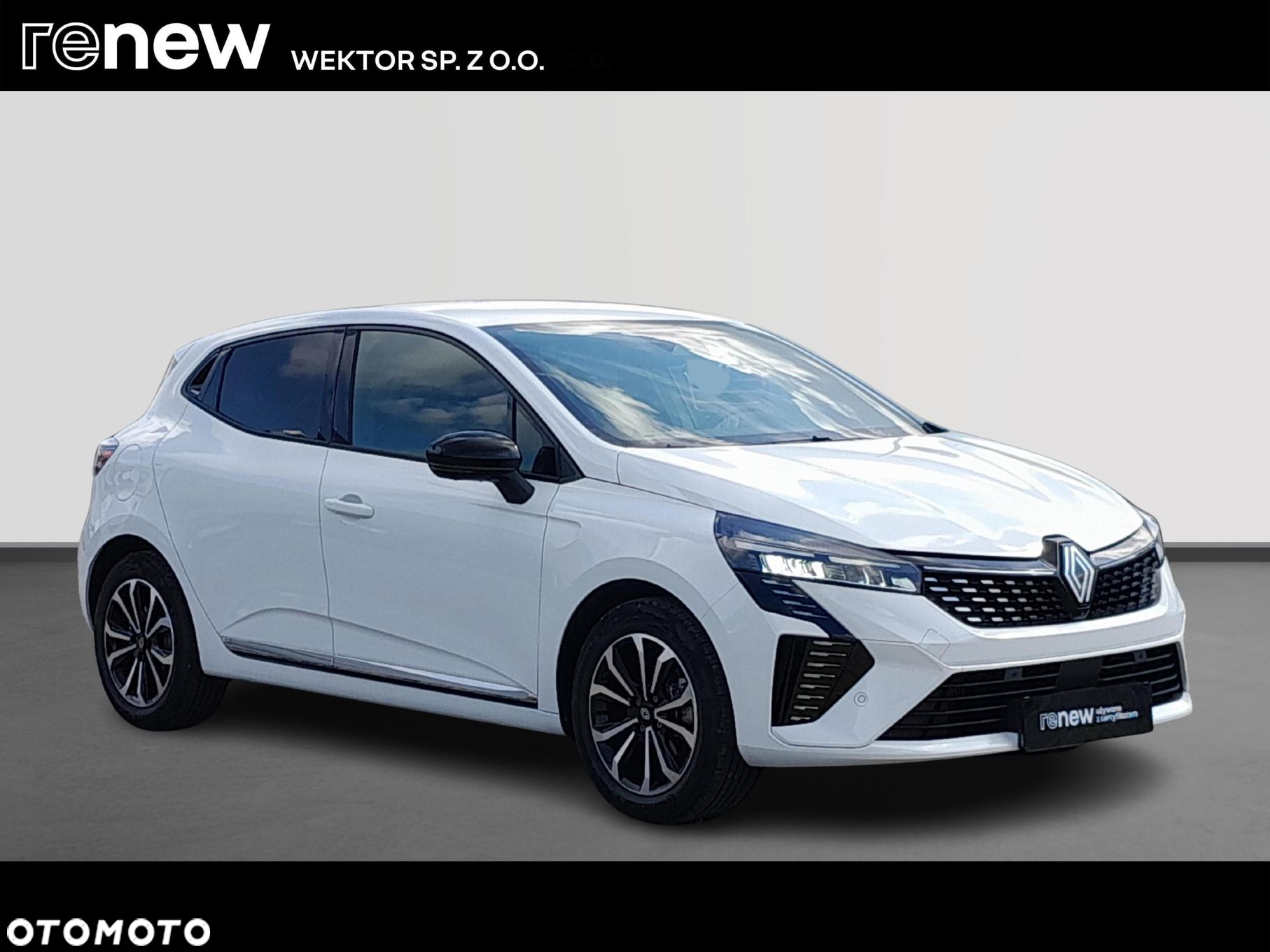 Renault Clio - 7