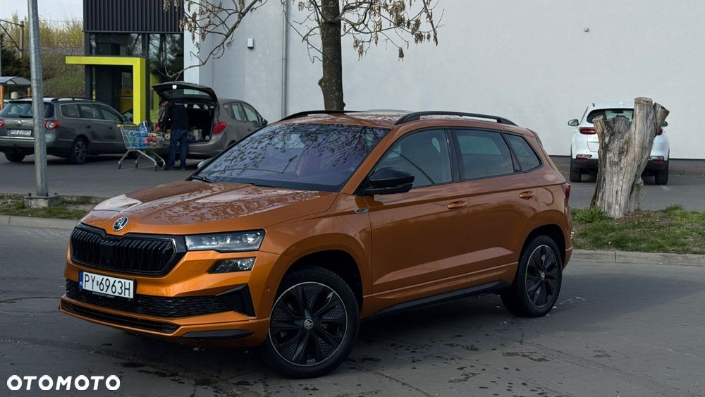 Skoda Karoq - 7