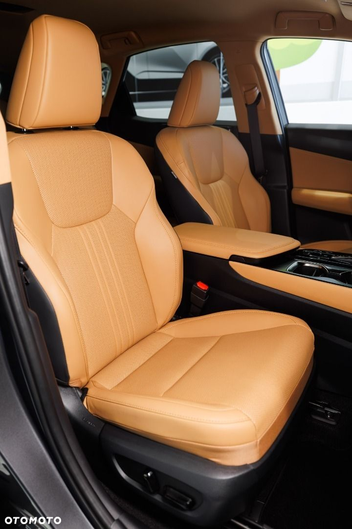 Lexus NX - 18