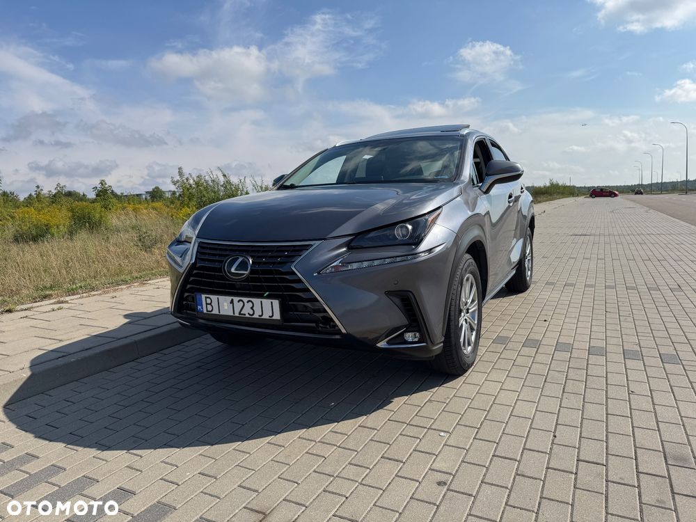 Lexus NX 300 - 19