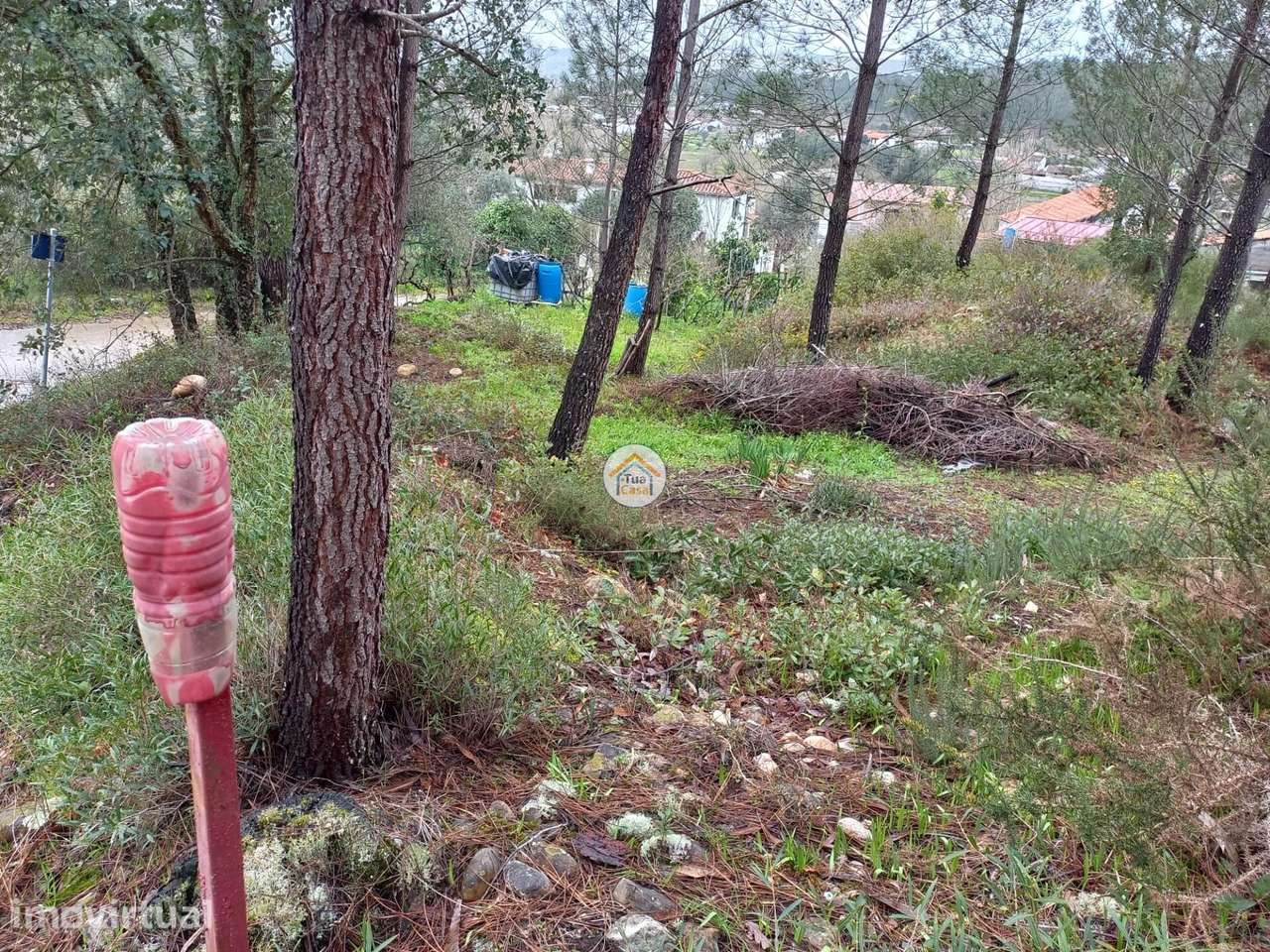 Terreno Rustico inserido no aglomerado urbano - Grande imagem: 3/12