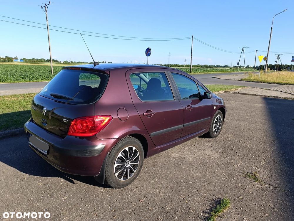 Peugeot 307 1.6 Trendy - 4