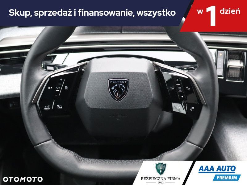 Peugeot 3008 - 19