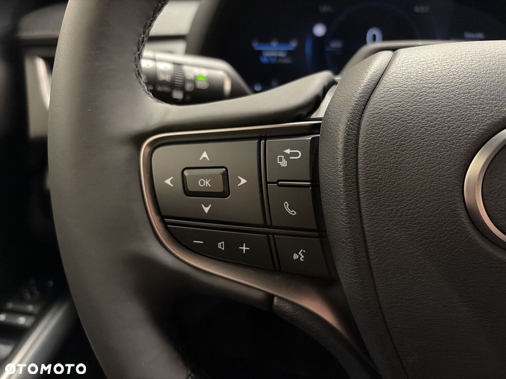 Lexus UX 300h F Sport Design - 14