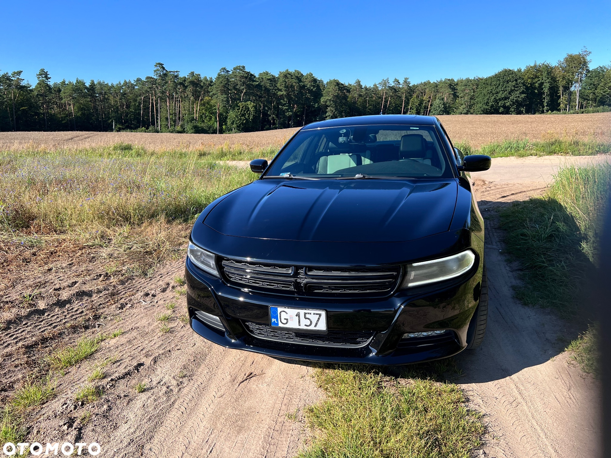Dodge Charger - 3