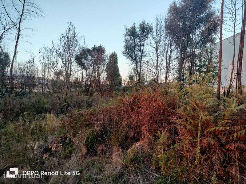Terreno para construção Zona industrial de Albergaria -a-Velha - Grande imagem: 3/6