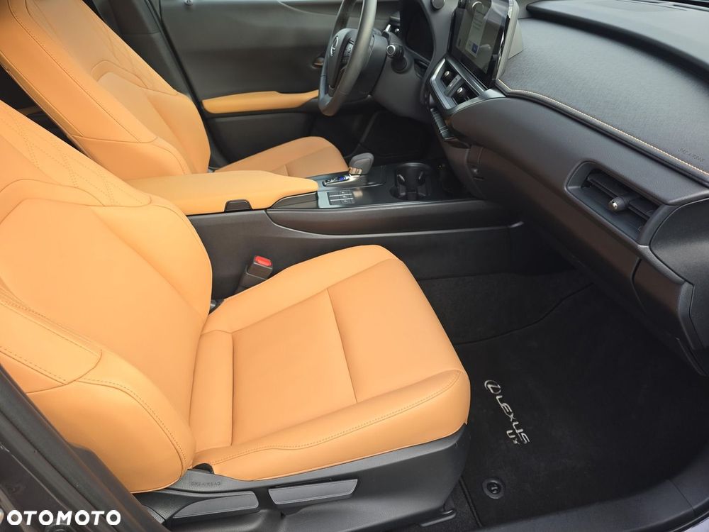 Lexus UX 300h F Sport Design - 16