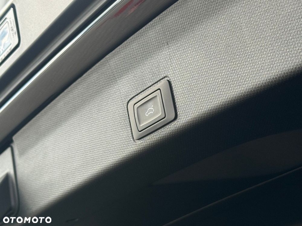 Cupra Terramar - 25