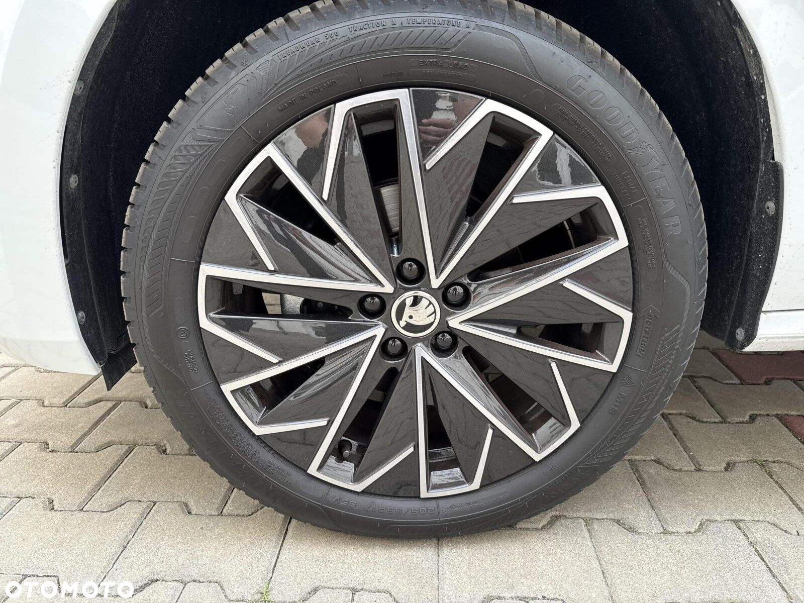 Skoda Kamiq 1.0 TSI Selection DSG - 9