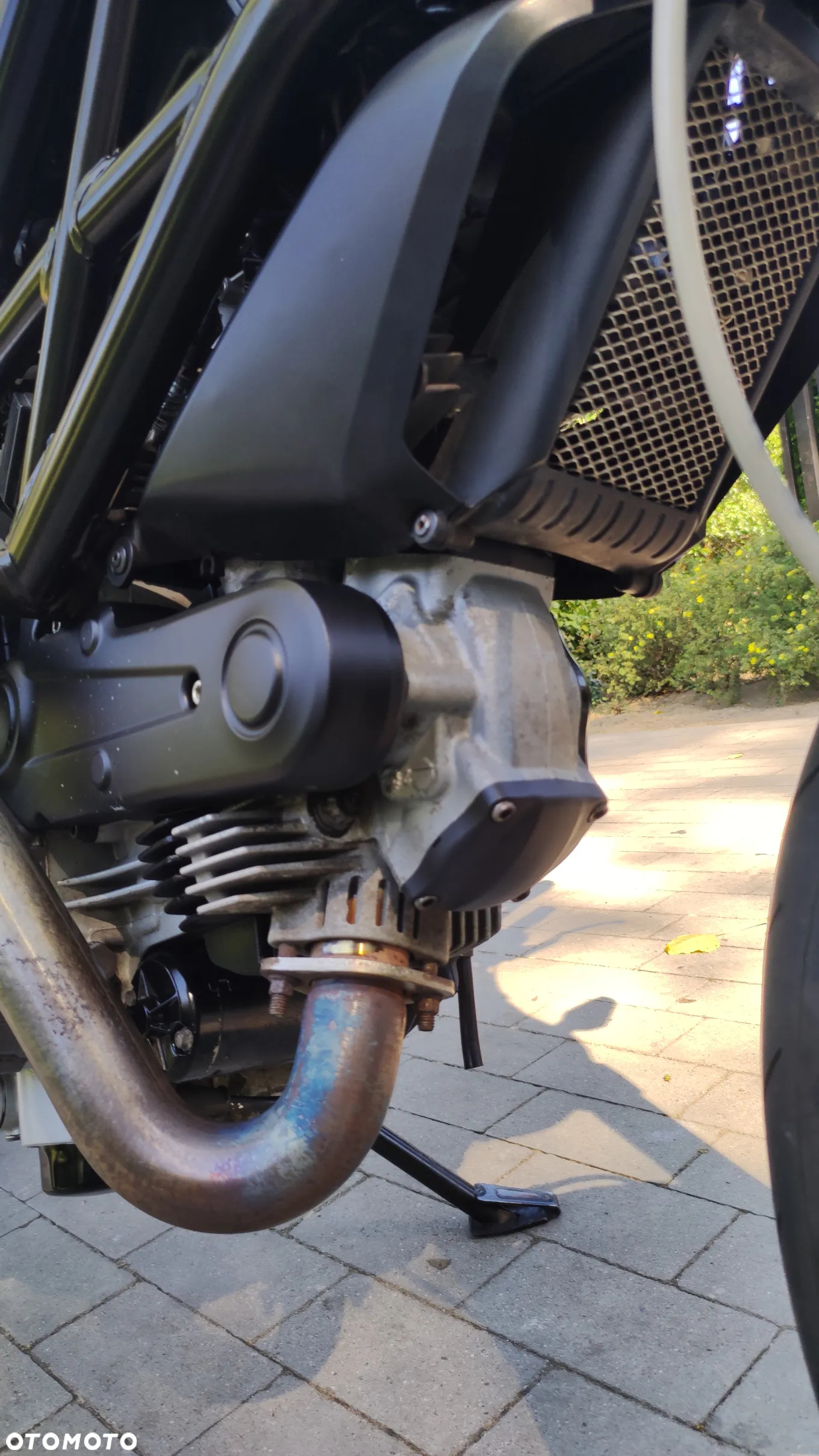 Ducati Monster - 15