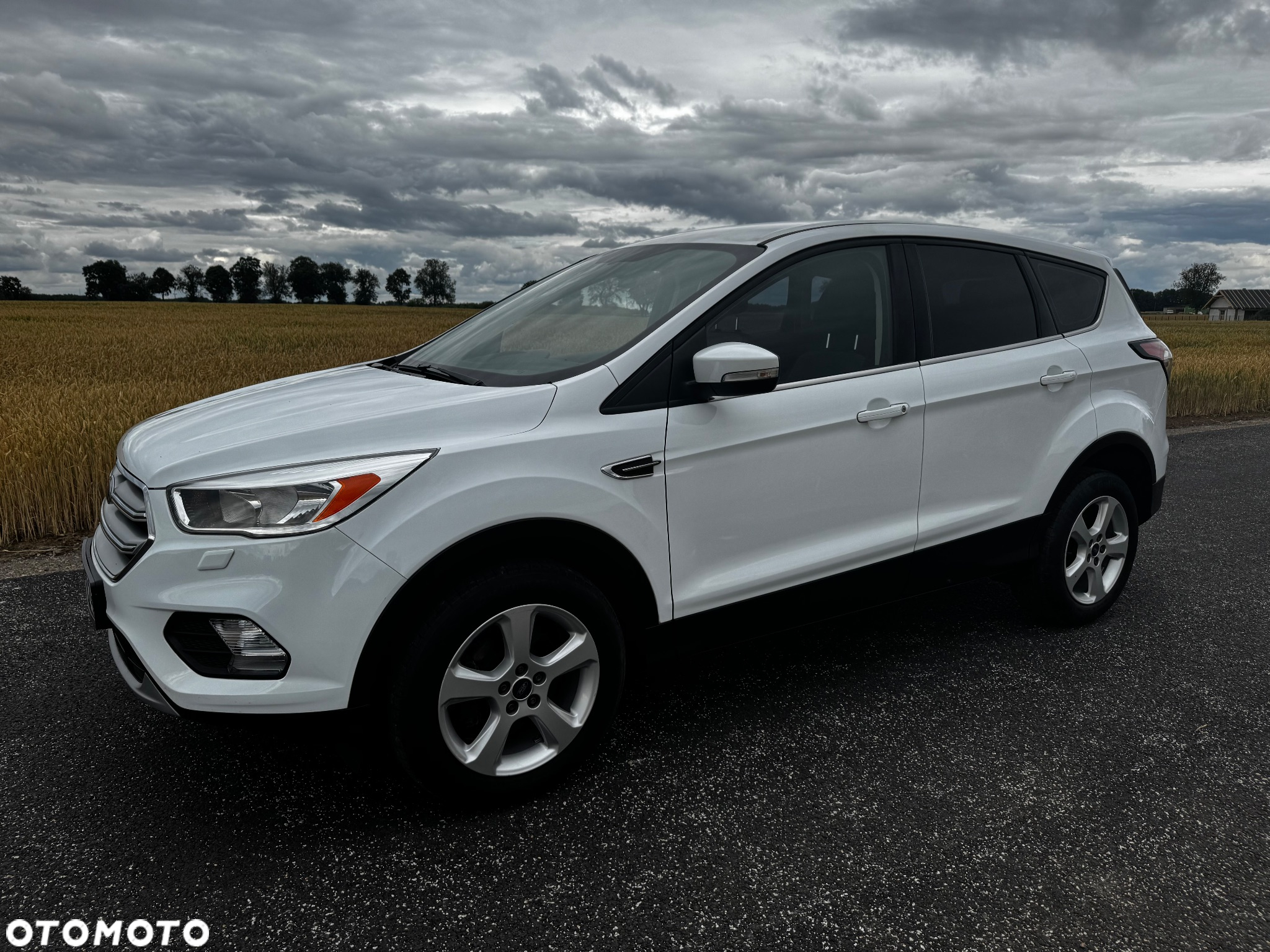 Ford Kuga 1.5 EcoBoost 2x4 Trend - 5