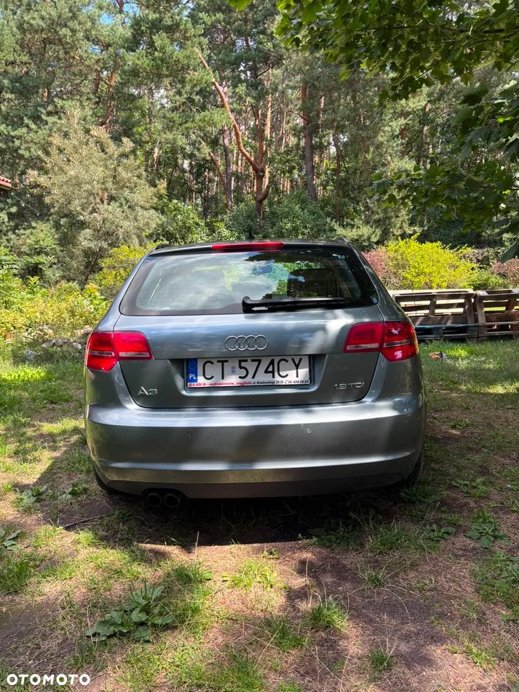 Audi A3 Sportback 1.9 TDI DPF Ambiente - 12