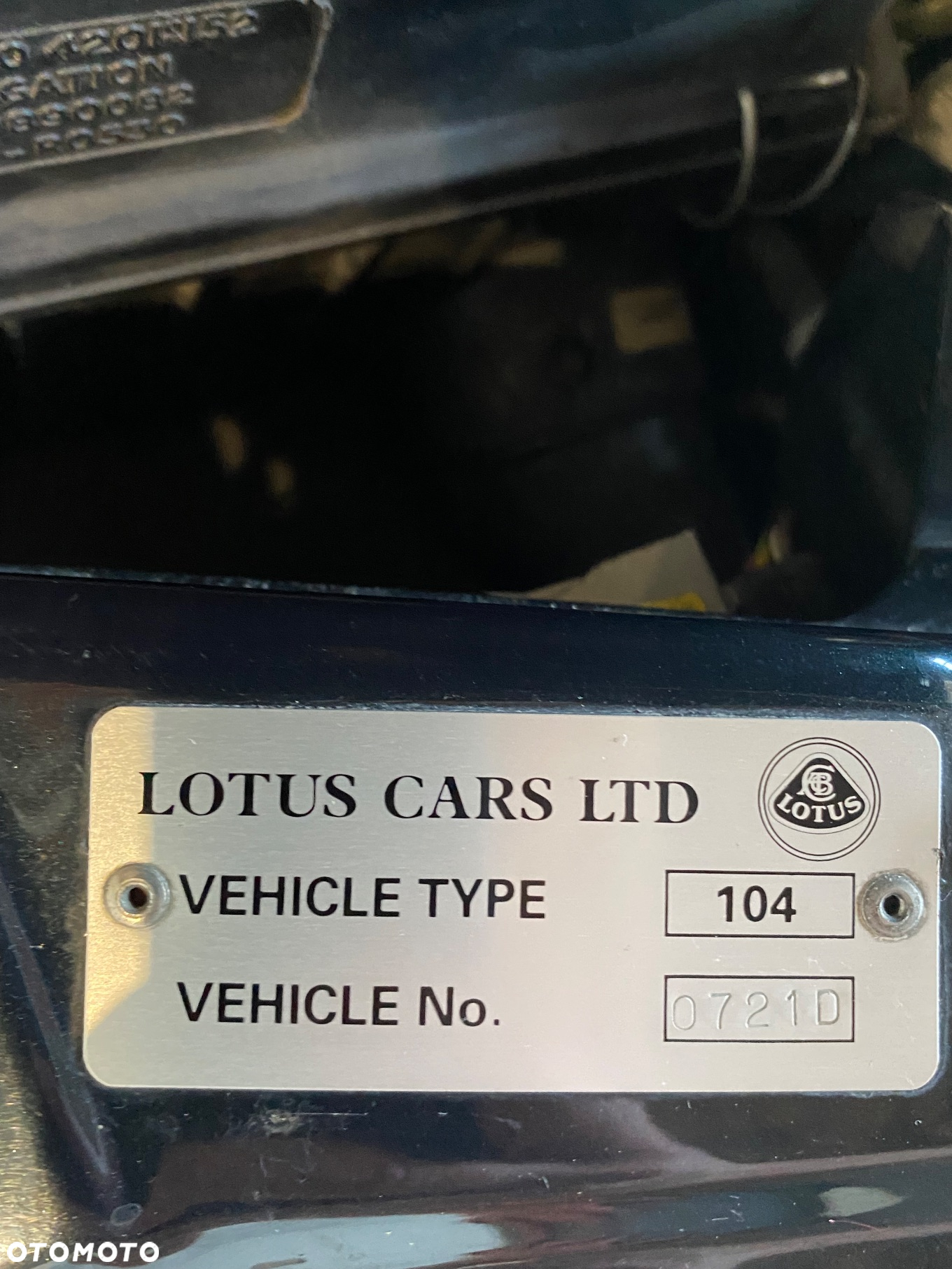 Lotus Inny - 24