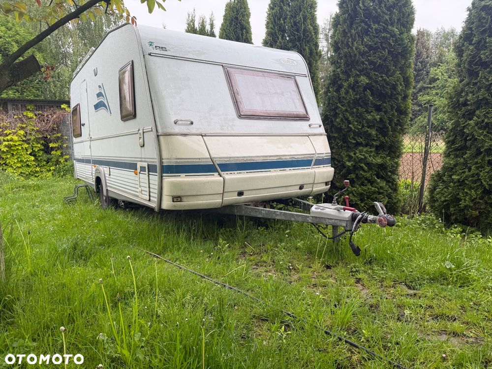Wilk SPORT 490 - 11